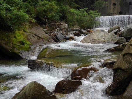 渓流ベイトフィネス初挑戦